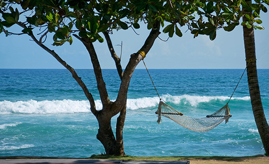 The Ultimate Honeymoon Package -  Sri Lanka In Style