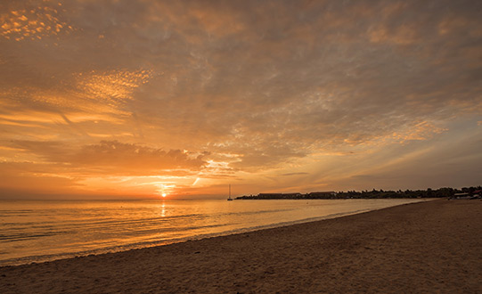 The Wild East -  Sri Lanka In Style