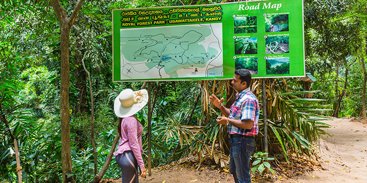 A guide to forest bathing in Sri Lanka