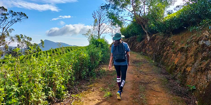 A guide to forest bathing in Sri Lanka