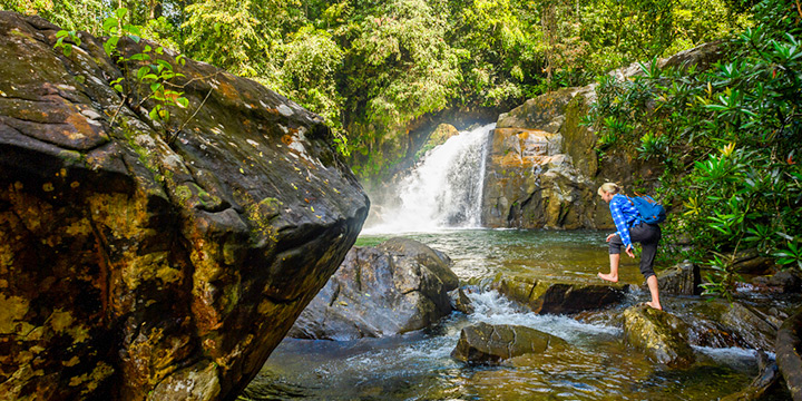 A guide to forest bathing in Sri Lanka