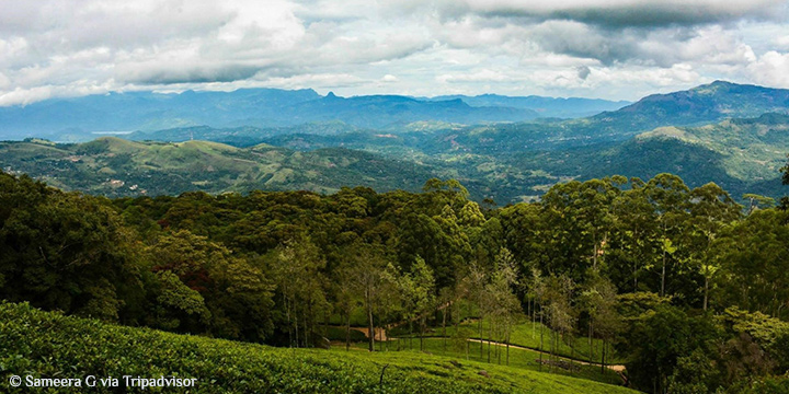 The Ultimate Guide to The Pekoe Trail: Sri Lanka’s Scenic Tea Country Journey