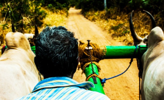 A visit to a Sri Lankan village with lunch - Dambulla -  Sri Lanka In Style