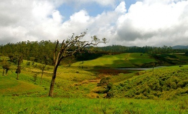A visit to Horton Plains - Anilana Craigbank - Sri Lanka In Style