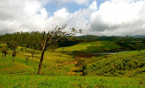 A visit to Horton Plains - Nuwara Eliya -  Sri Lanka In Style