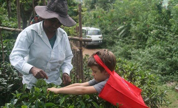 Tea, Treks and Tranquillity - Ella -  Sri Lanka In Style