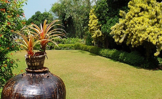 Brief Garden by Bevis - Bentota -  Sri Lanka In Style